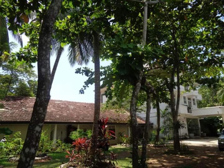 Nooit Gedacht Holiday Resort 우나와투나 외부 사진